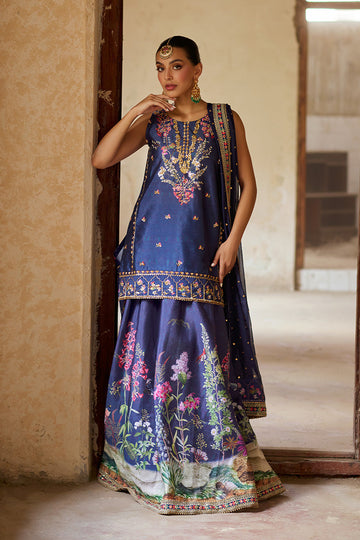 Mina Hassan | Formal Dholki Collection | Hannah by Mina Hassan - Designer Dress - Type: Ladies Clothes - Available at Sana Yasir - 100% Original
