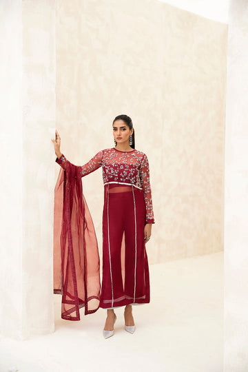 Raja Salahuddin | The Wishlist | CHERRY by Raja Salahuddin - Designer Dress - Type: Formal - Available at Sana Yasir - 100% Original