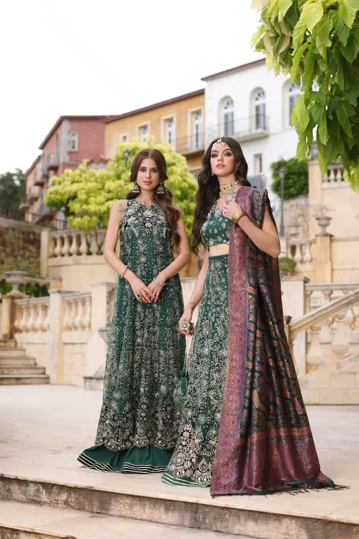 Noor by Saadia Asad | Kaani Wedding Formals 23 | D1 by Noor by Saadia Asad - Designer Dress - Type: Formal - Available at Sana Yasir - 100% Original