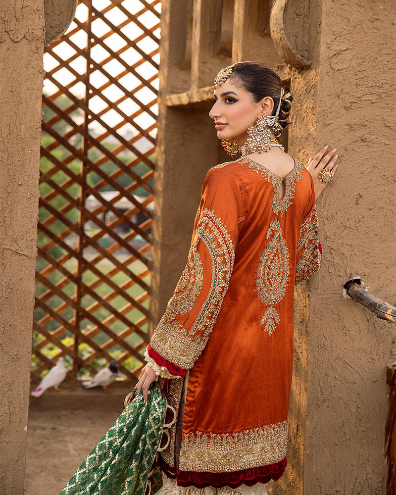 Ain | Aroosh Wedding Edition | AR-83 by Ain - Designer Dress - Type: Bridal - Available at Sana Yasir - 100% Original