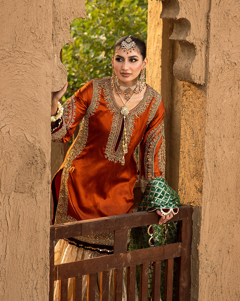 Ain | Aroosh Wedding Edition | AR-83 by Ain - Designer Dress - Type: Bridal - Available at Sana Yasir - 100% Original