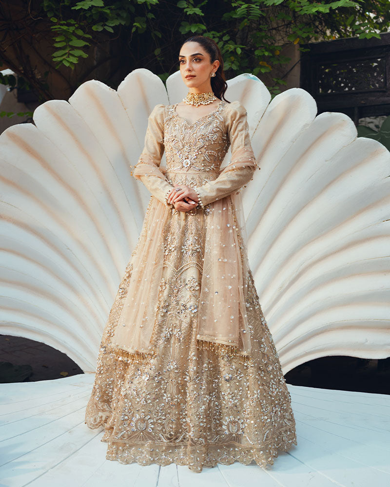Ain | Naulakha Wedding Festive 24 | AR-144 SHELL by Ain - Designer Dress - Type: Ladies Clothes - Available at Sana Yasir - 100% Original