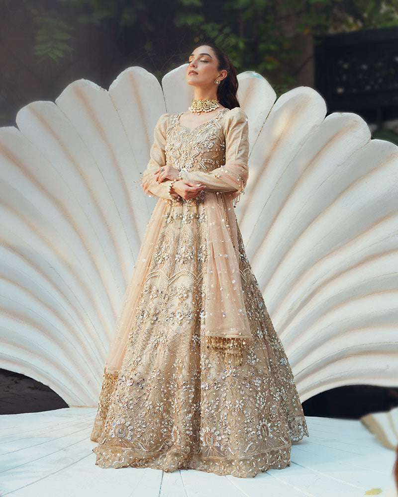 Ain | Naulakha Wedding Festive 24 | AR-144 SHELL by Ain - Designer Dress - Type: Ladies Clothes - Available at Sana Yasir - 100% Original