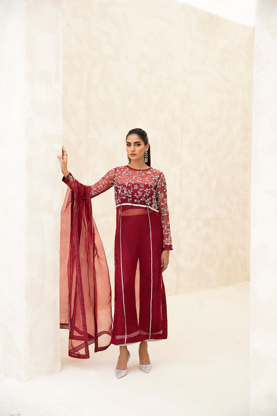Raja Salahuddin | The Wishlist | CHERRY by Raja Salahuddin - Designer Dress - Type: Formal - Available at Sana Yasir - 100% Original