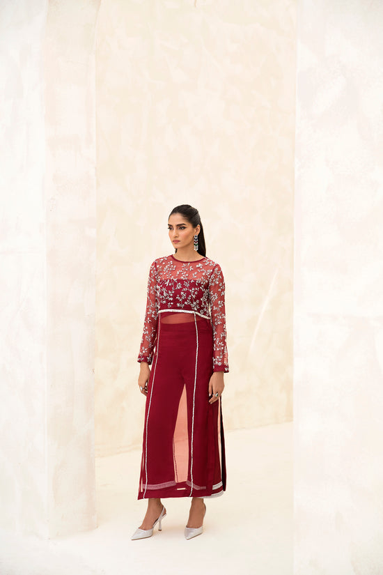 Raja Salahuddin | The Wishlist | CHERRY by Raja Salahuddin - Designer Dress - Type: Formal - Available at Sana Yasir - 100% Original