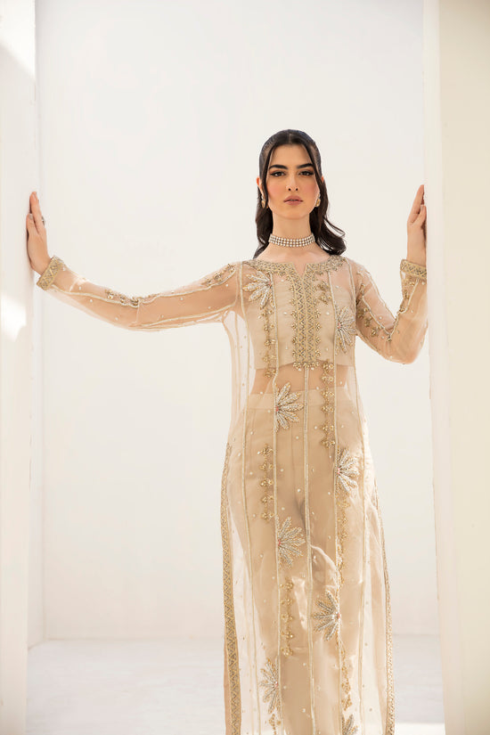 Raja Salahuddin | The Wishlist | FALLON by Raja Salahuddin - Designer Dress - Type: Formal - Available at Sana Yasir - 100% Original
