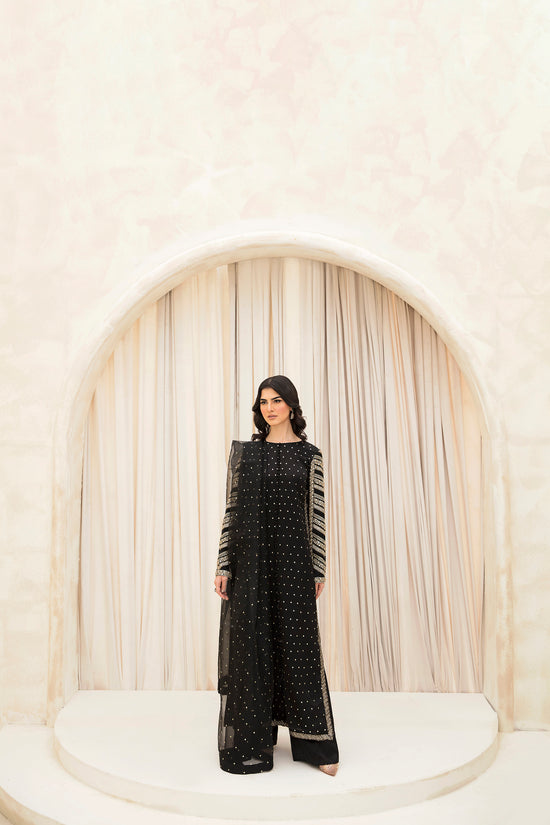 Raja Salahuddin | The Wishlist | NIGHT OWL by Raja Salahuddin - Designer Dress - Type: Formal - Available at Sana Yasir - 100% Original
