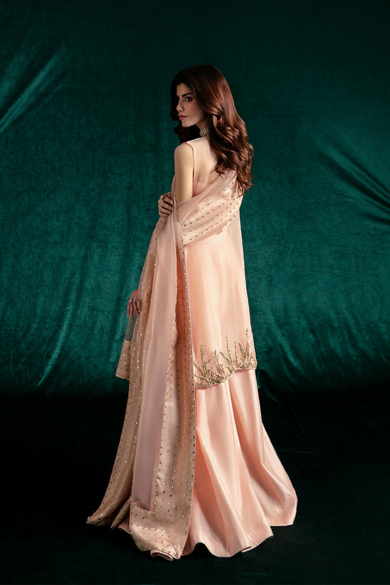 Raja Salahuddin | Wedding Formals | CACIE by Raja Salahuddin - Designer Dress - Type: Bridal - Available at Sana Yasir - 100% Original