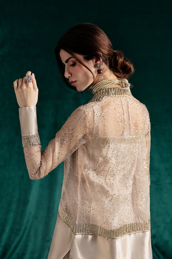 Raja Salahuddin | Wedding Formals | RAY by Raja Salahuddin - Designer Dress - Type: Formal - Available at Sana Yasir - 100% Original