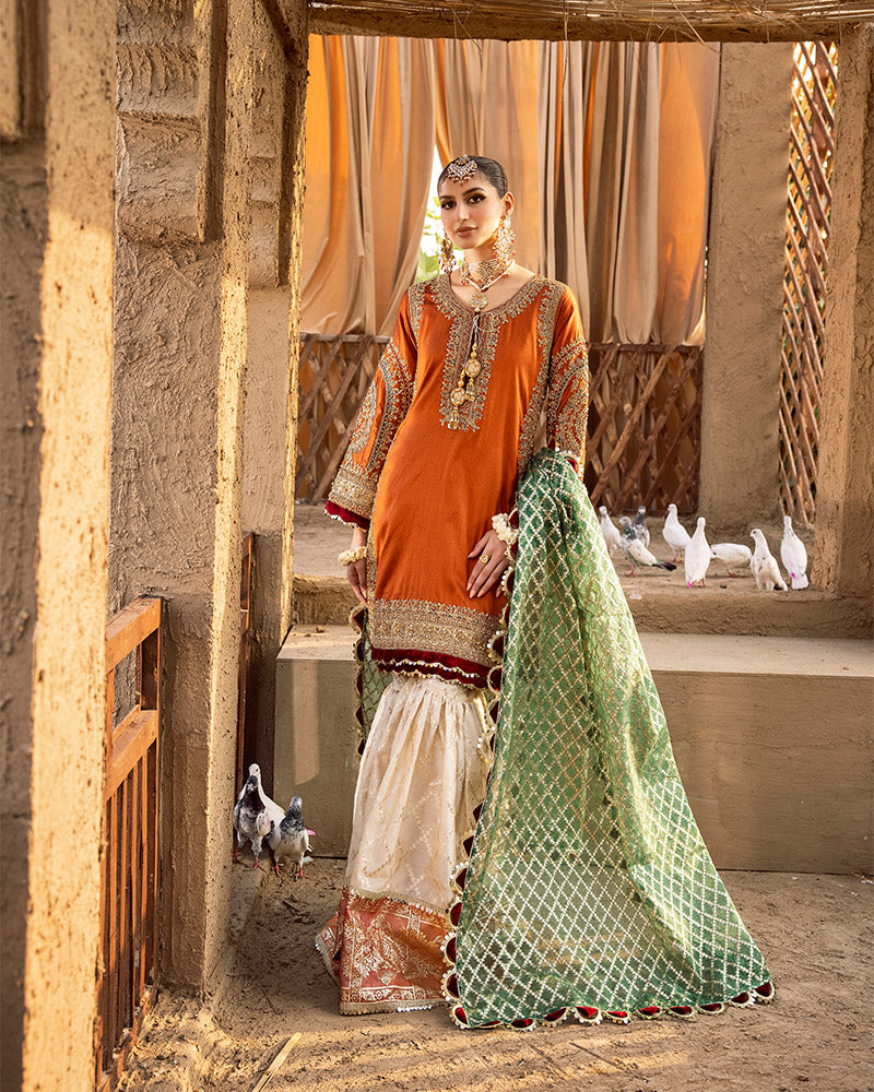 Ain | Aroosh Wedding Edition | AR-83 by Ain - Designer Dress - Type: Bridal - Available at Sana Yasir - 100% Original
