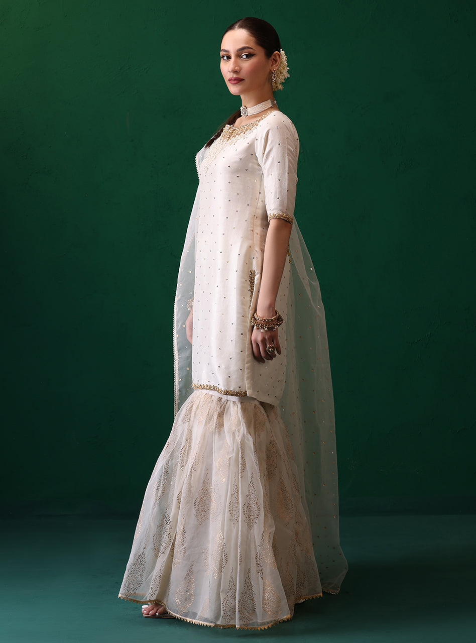Zainab Chottani | Semi Formals | MEERAZ by Zainab Chottani - Designer Dress - Type: Ladies Clothes - Available at Sana Yasir - 100% Original